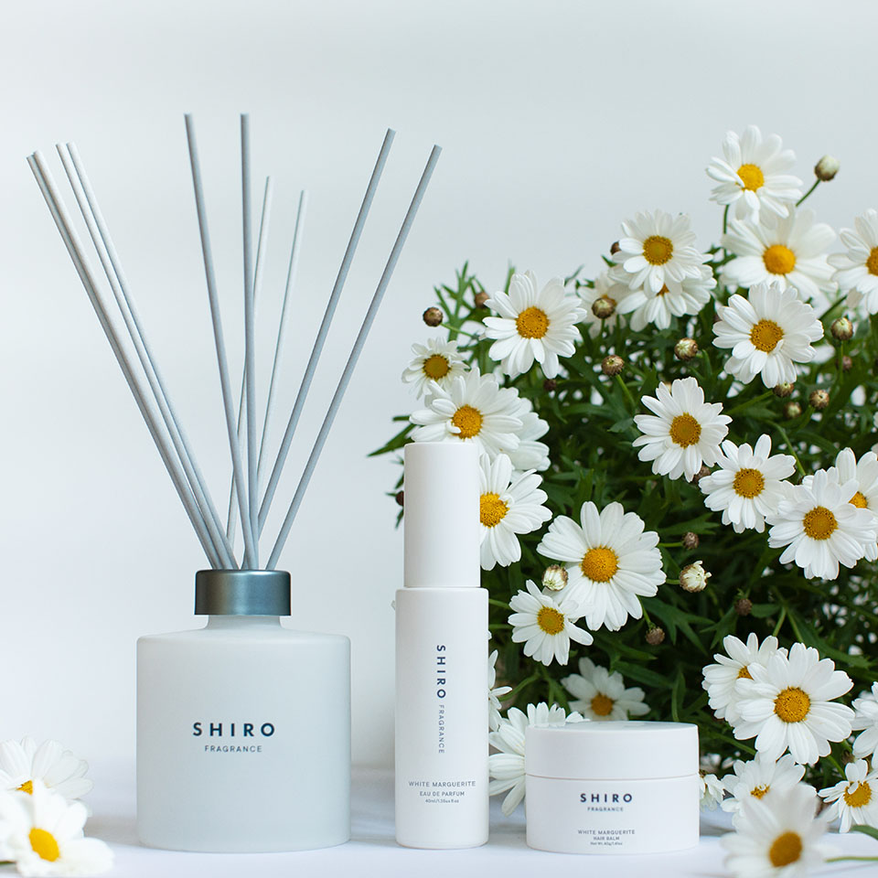 【✨️日本🇯🇵 SHIRO 全新「WHITE MARGUERITE」清新柑橘綠葉花香系列✨️】Hair Balm 護髮膏