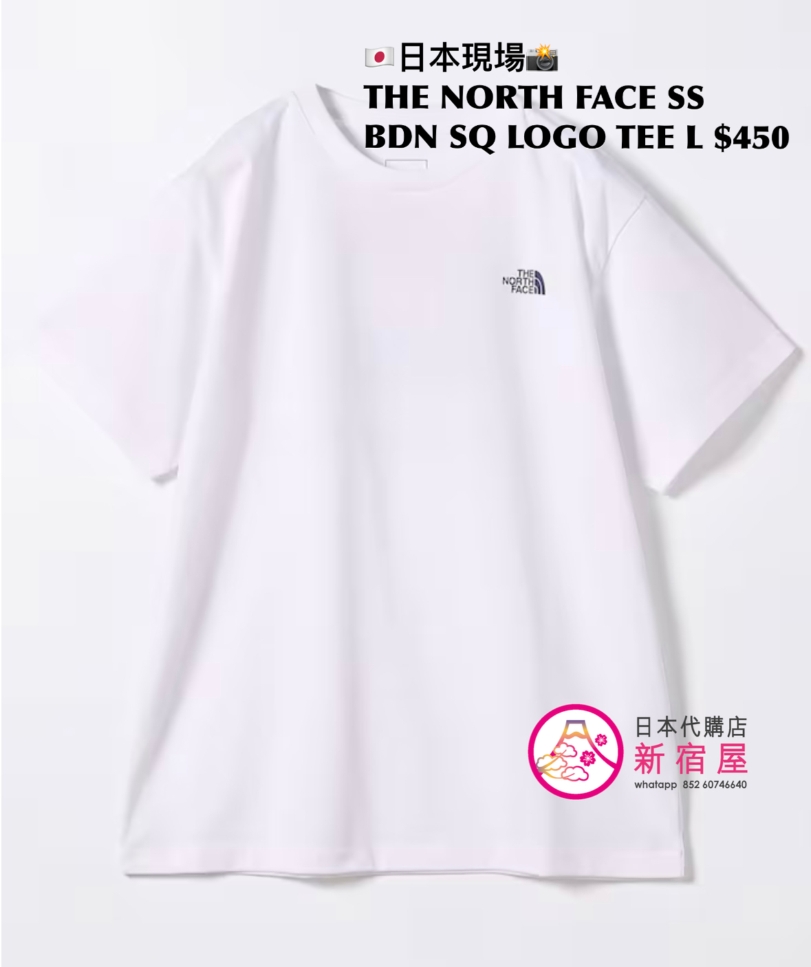 THE NORTH FACE S/S BANDANA SQUARE LOGO TEE