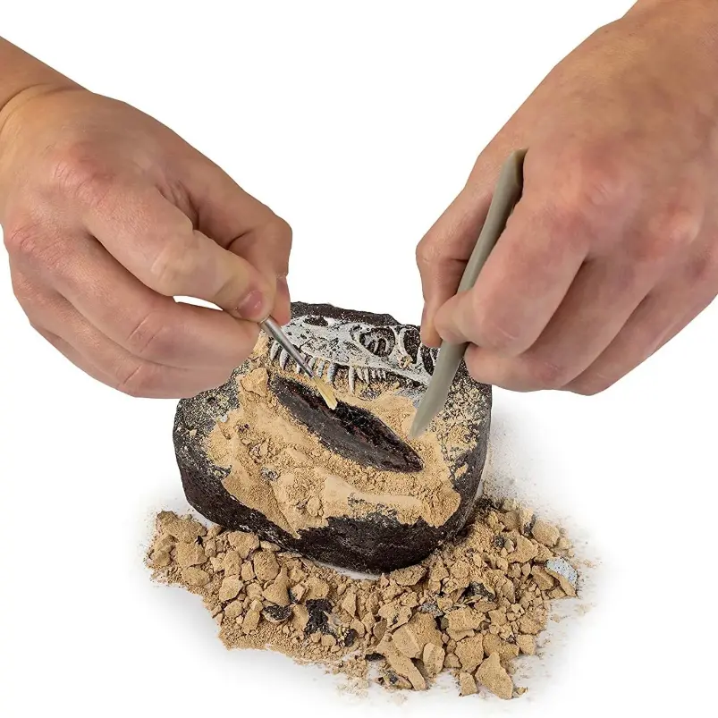 National Geographic暴龍牙齒化石挖掘套裝 兒童STEM恐龍玩具