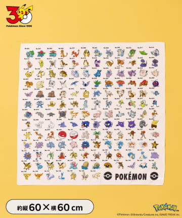 ✨連線商品需補運費✨日本 3COINS x Pokemon 30週年 A4透明文件夾及牆身貼紙