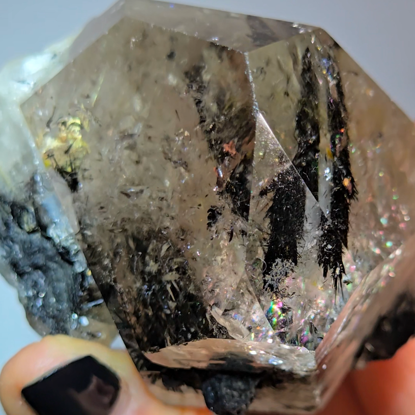 Black tourmaline inclusion smoky quartz with rainbows - RT1457
