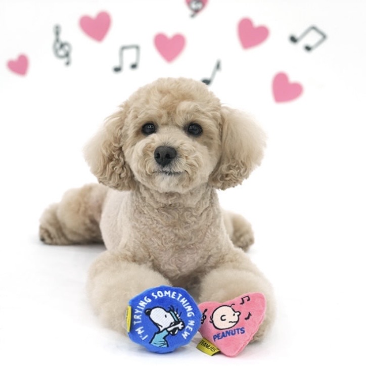 🇰🇷Peanuts Friends Sncak Toy 藏零食玩具