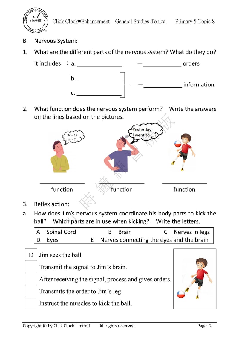 模擬試卷 (五年級)