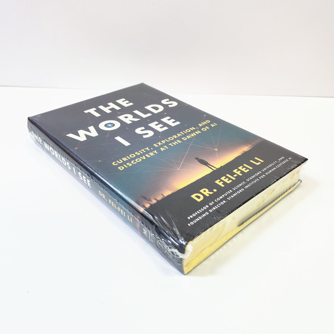 正版 The Worlds I See: Curiosity, Exploration, and Discovery at the Dawn of AI | A62