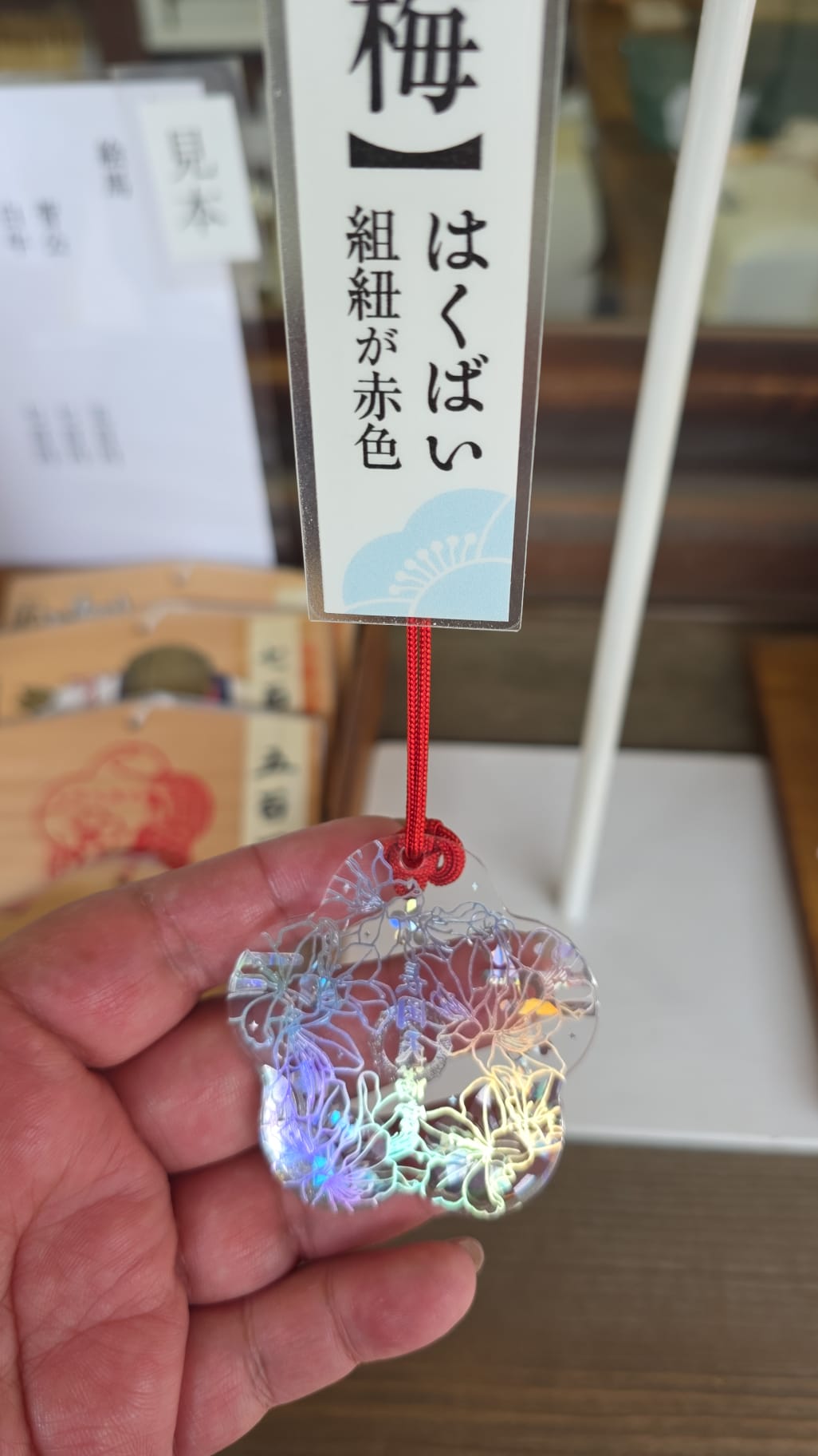 長岡天滿宮 白梅