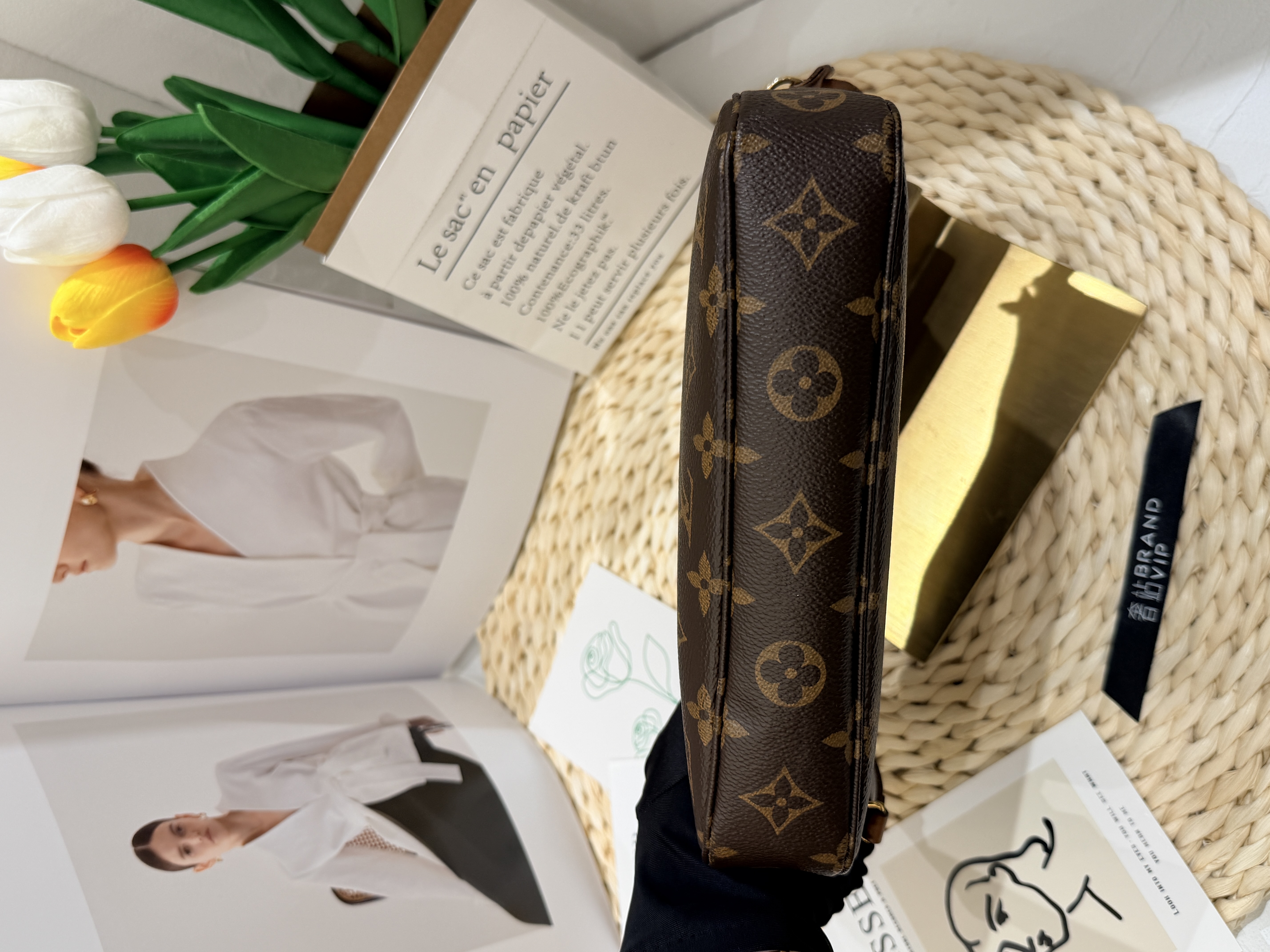 LV Pochette Accessoires Monogram 