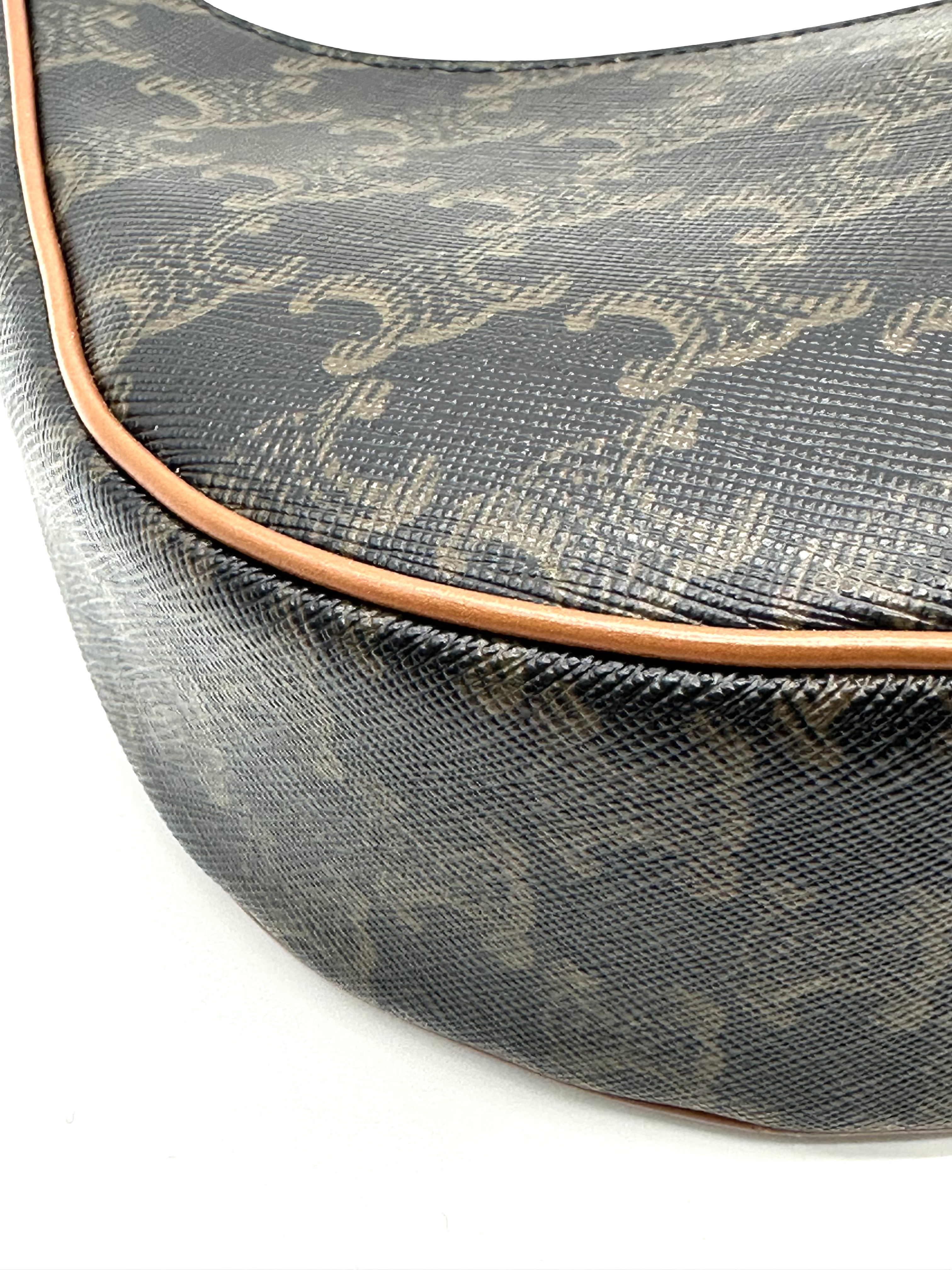 Pre-Owned CELINE Ava Bag in Triomphe Canvas and Calfskin / Product Code: 26050614