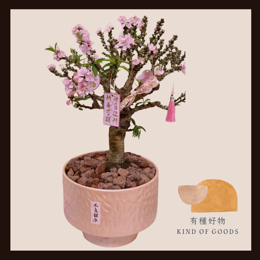 匠心盆景桃花 — 緋紅春意，典藏永續 