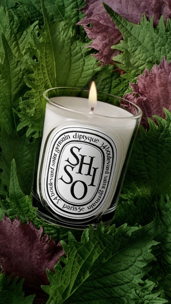 (現貨) DIPTYQUE Shiso (紫蘇) 迷你蠟燭 Mini Candle 35g