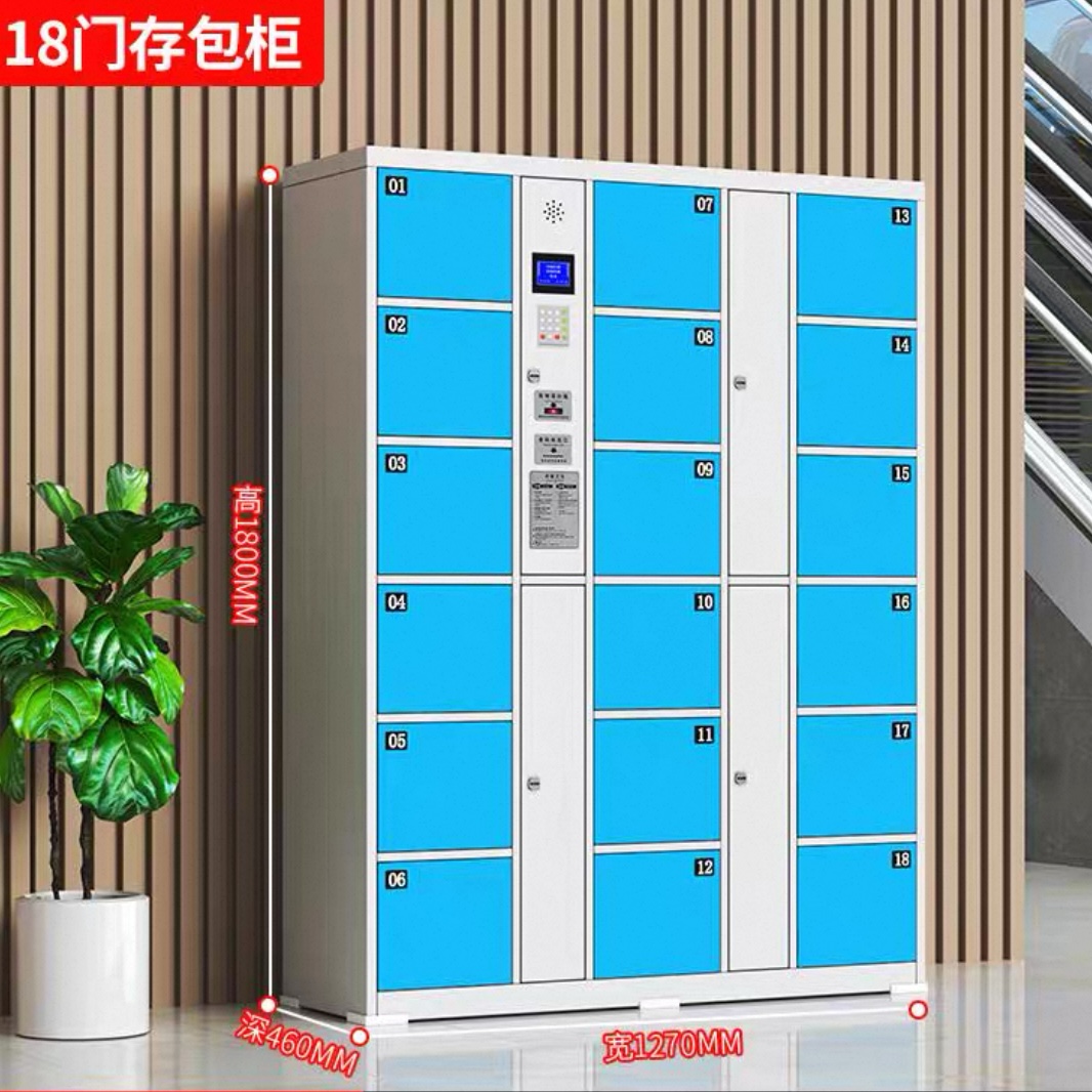 超市電子儲物櫃 學校商場人臉條碼智能寄存櫃 指紋掃碼儲物櫃 Storage locker