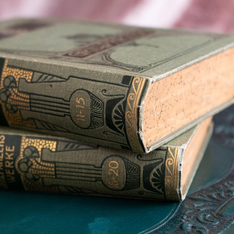 Antique Turn of 20th Century Rich Art Nouveau /Art Deco Graphic Franz Grillparzer's German Book Set of 2 (MW117)