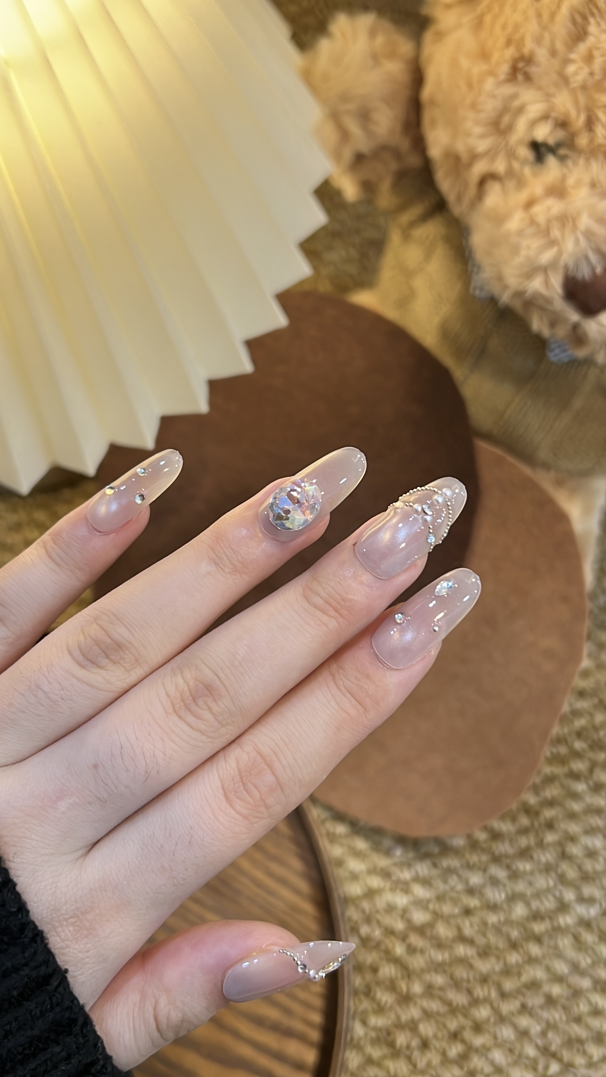 碎金猫眼雾 中椭圆