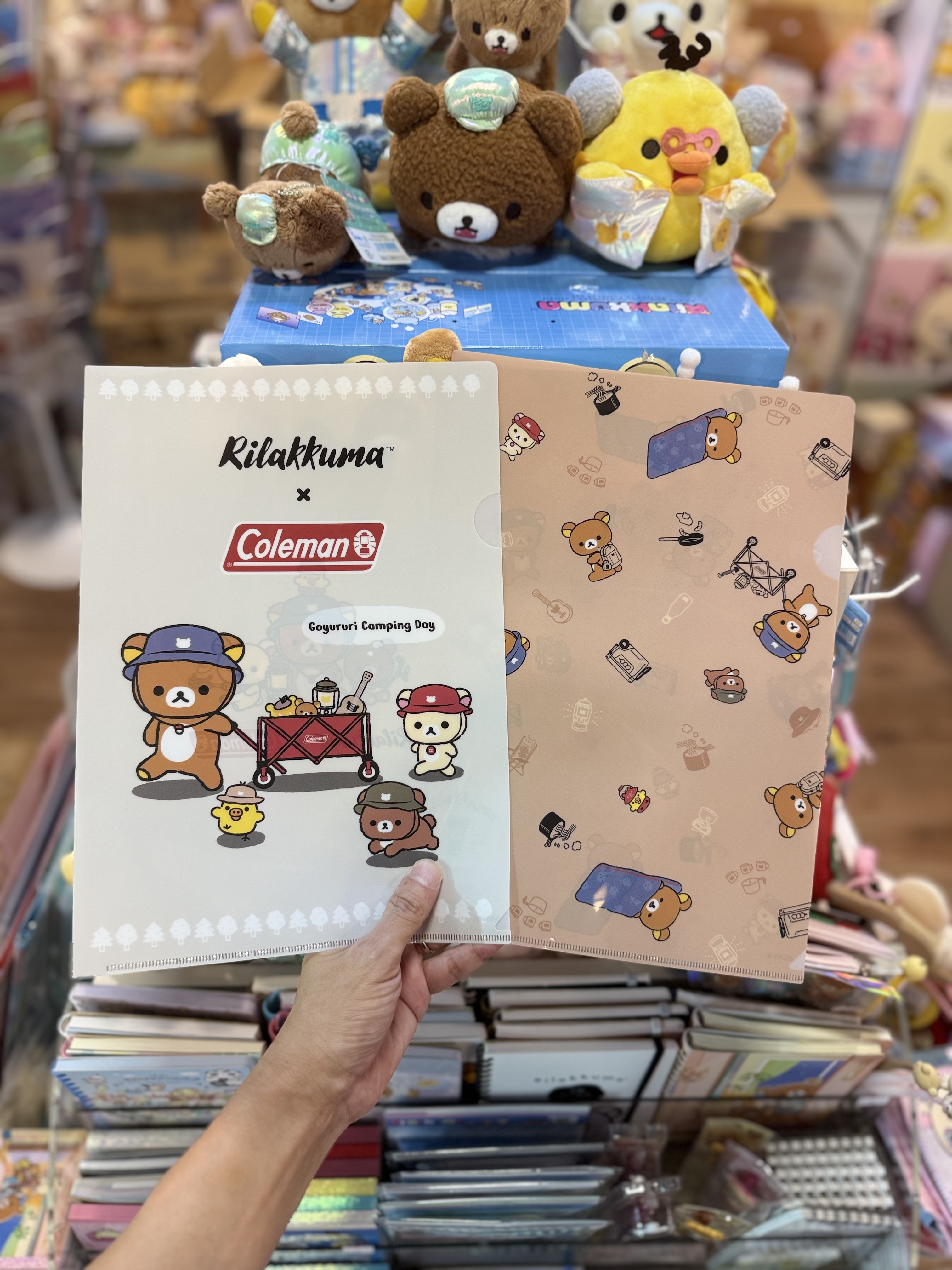 《現貨》全新日本專店限定 rilakkuma  x Coleman 對裝A4 file
