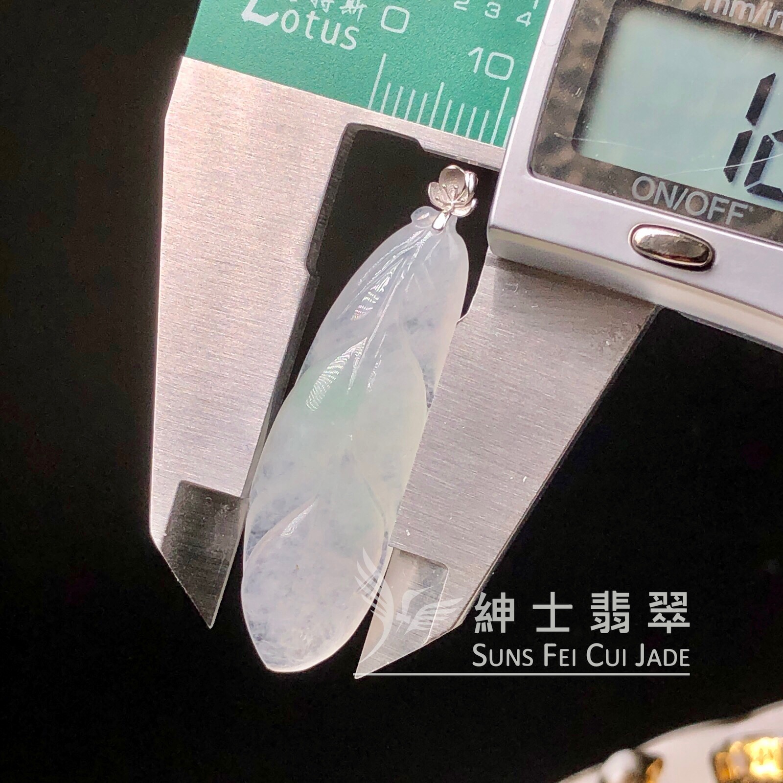 YK01054 飄翠福葉