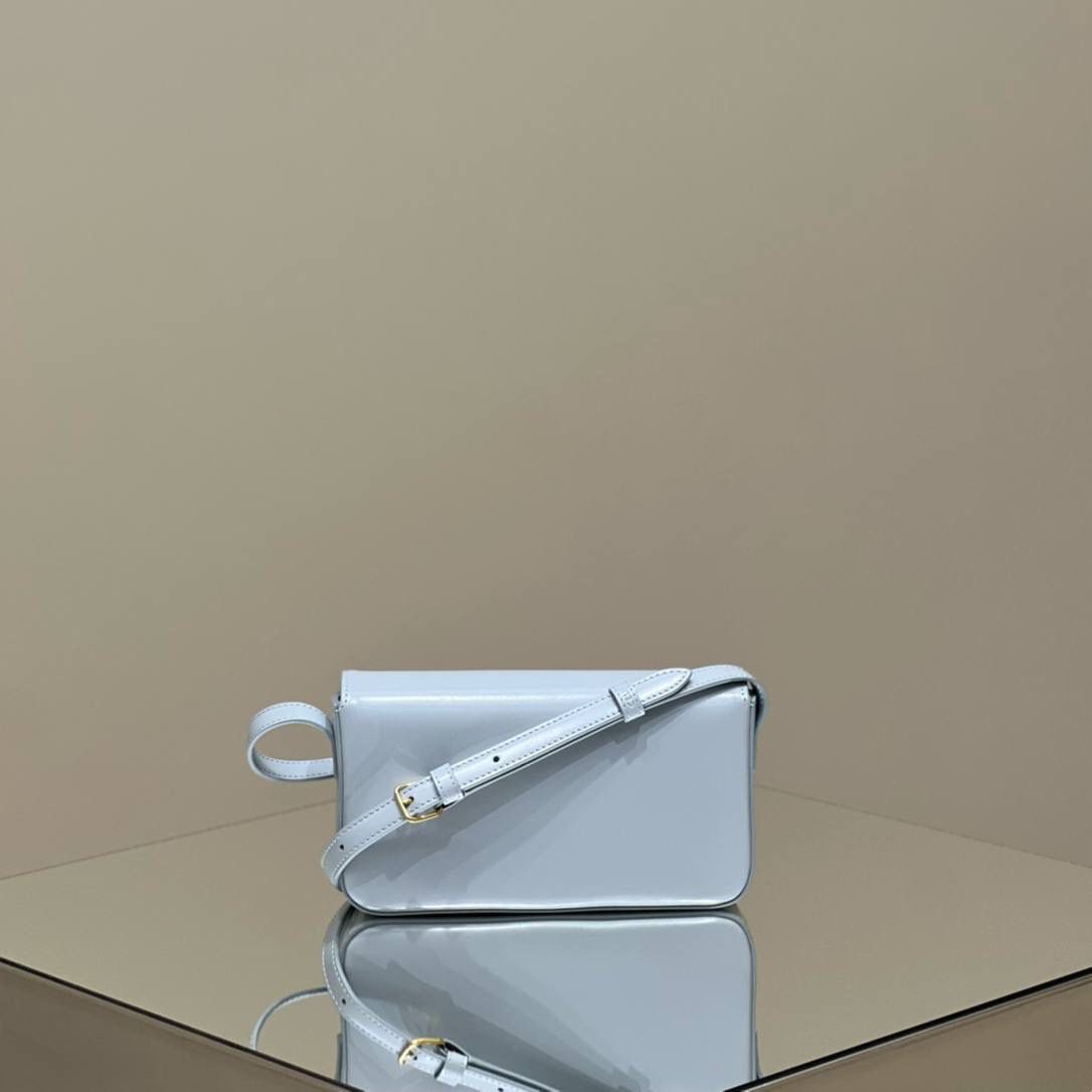 🔥大货实拍图 𝗖𝗘𝗟𝗜𝗡𝗘 ♥ 𝗧𝗥𝗜𝗢𝗠𝗣𝗛𝗘 𝗦𝗛𝗢𝗨𝗟𝗗𝗘𝗥 𝗕𝗔𝗚 型号：194143 尺寸：20*10*4cm