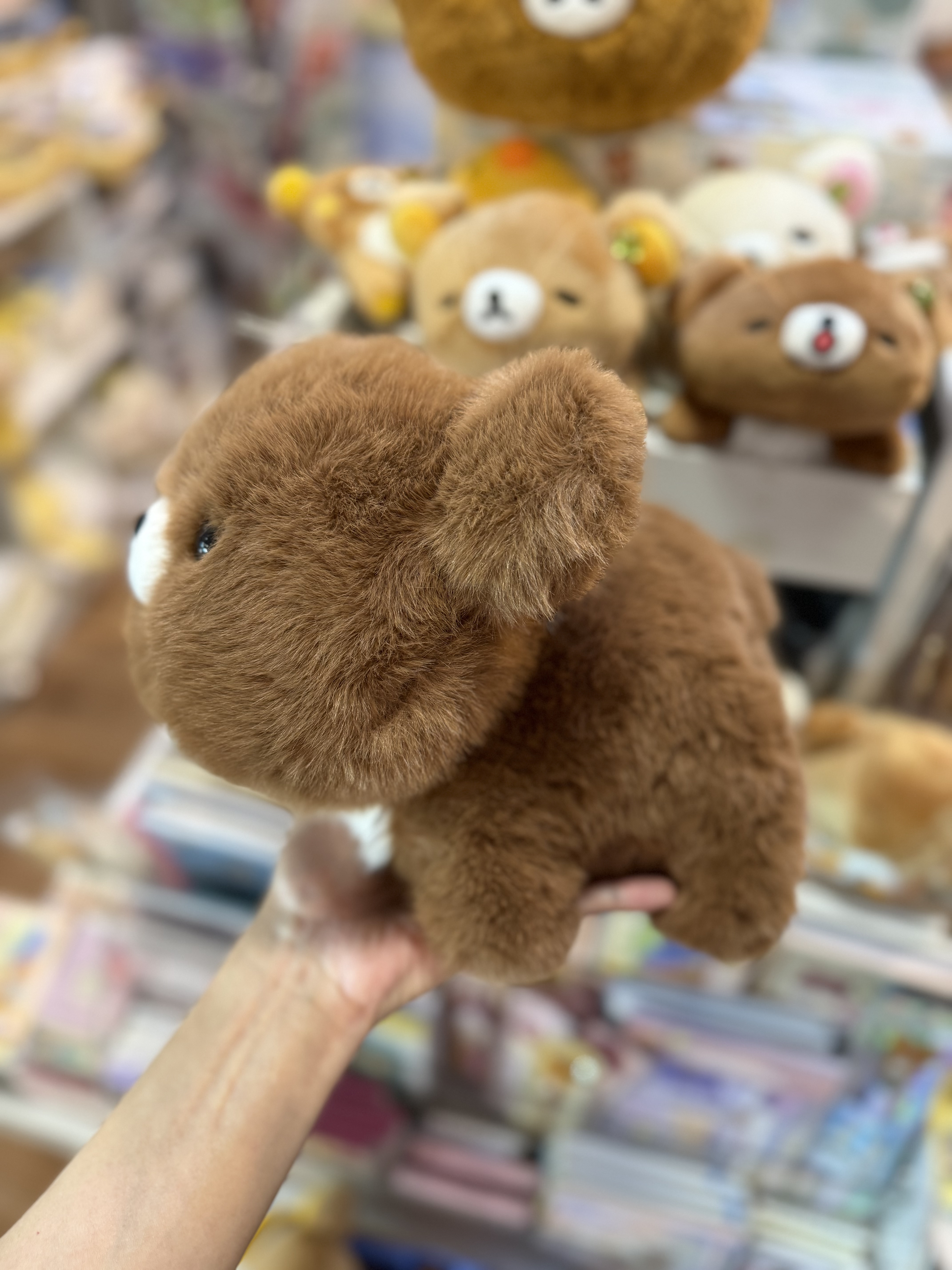 《現貨》全新小熊10週年紀念四葉草系列趴地公仔（M size)