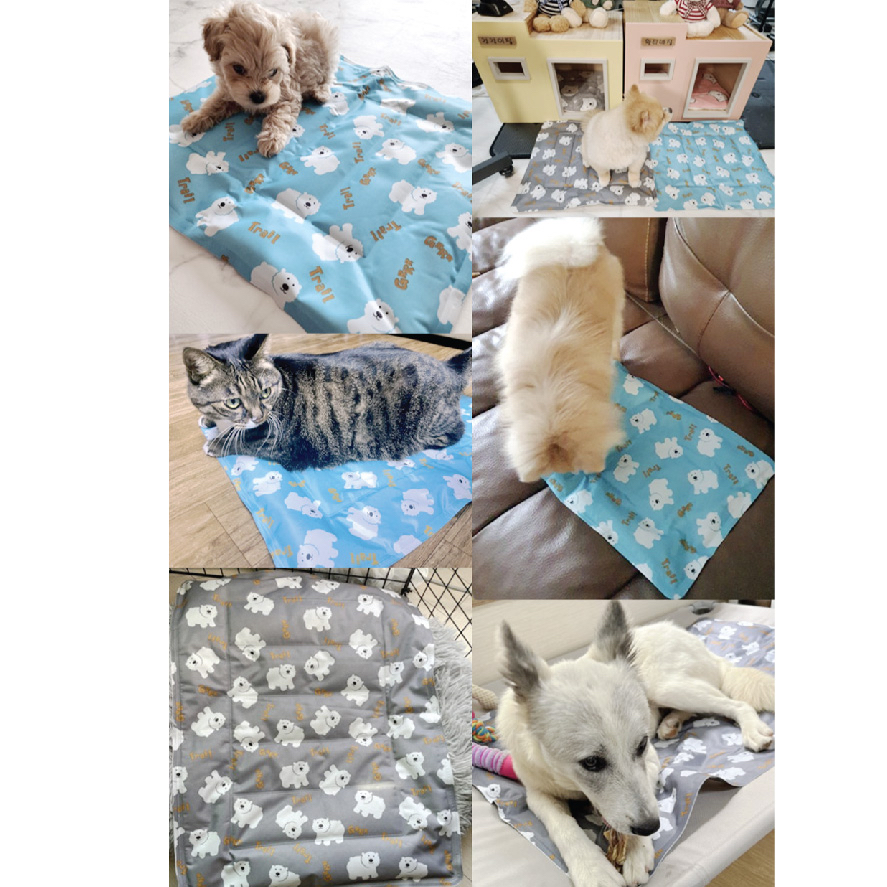 夏天寵物降溫冰涼墊