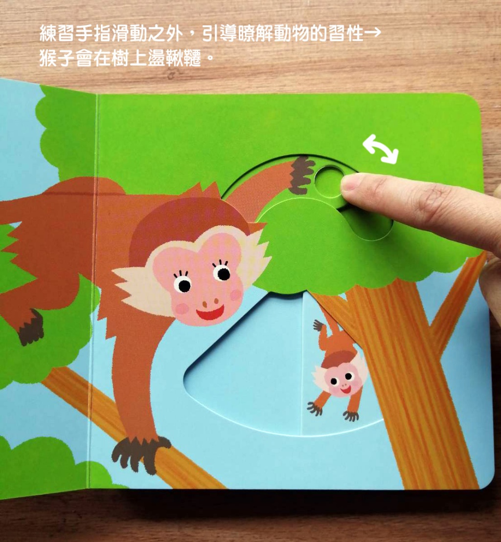 🔸預購貨品🔸寶貝在哪裡【0~3歲寶寶全腦開發遊戲書】