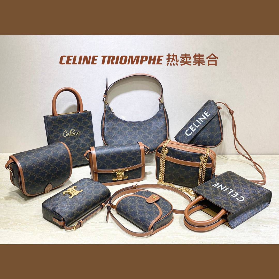 🔥大货实拍图 𝗖𝗘𝗟𝗜𝗡𝗘♥𝟭𝟲 𝗦𝗢𝗙𝗧大号 型号：194043 尺寸：38*26*18cm