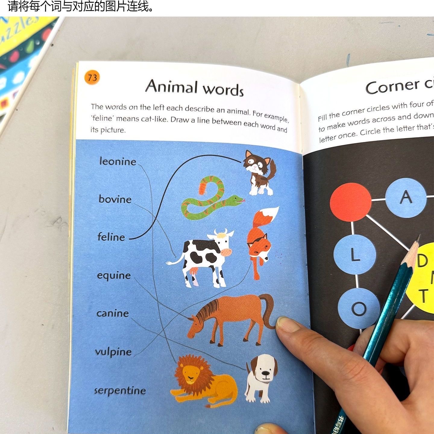 Picture Puzzles：Usborne（出版社） · Memory Puzzles、Number Puzzles、Brain Games、Brain Puzzles、99 Maths Puzzles、99 Word Puzzles：Usborne 旗下編撰，Simon Tudhope ， Various 編著