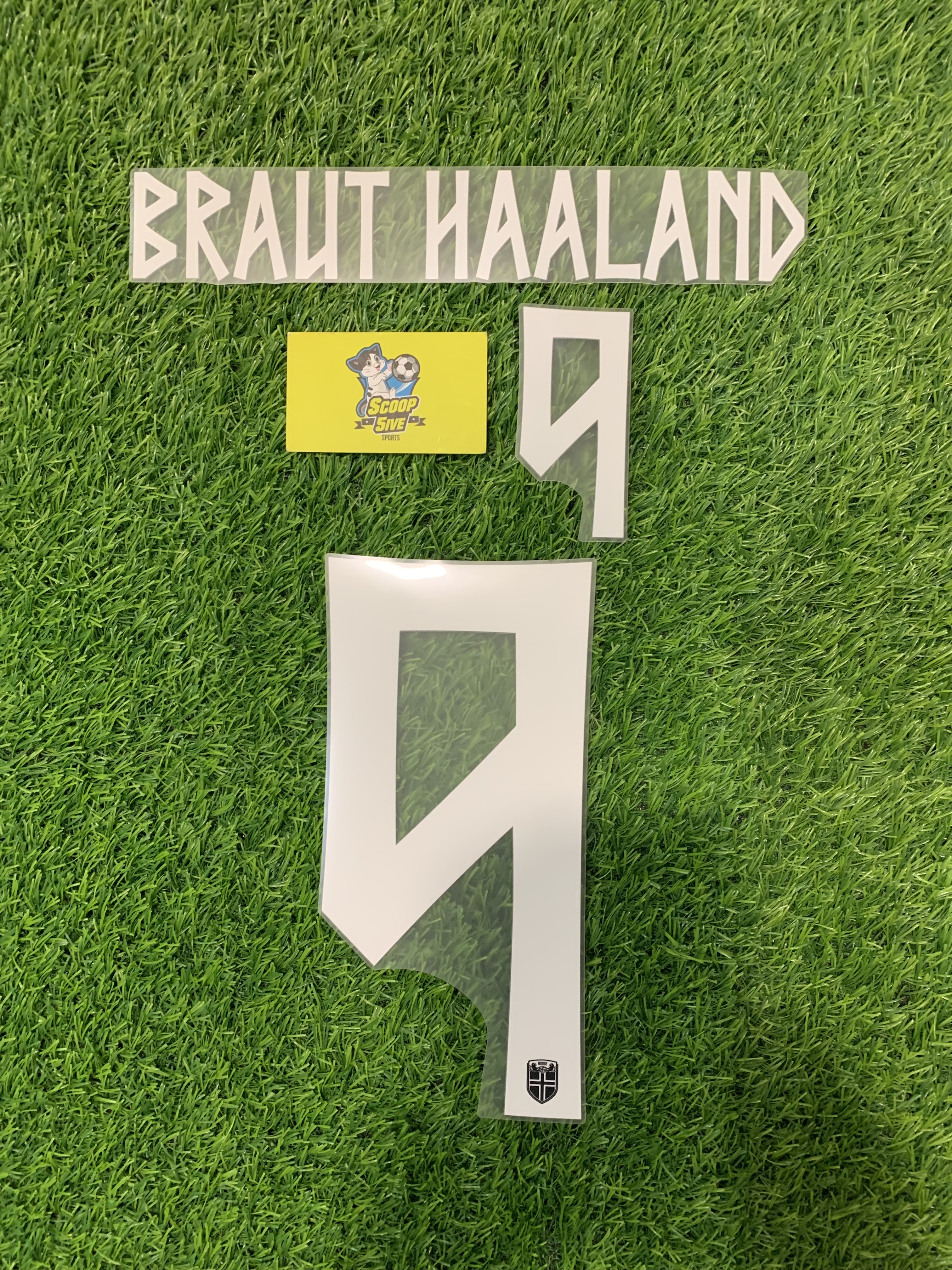 2026世界盃 挪威 作客 印字 9 Braut Haaland