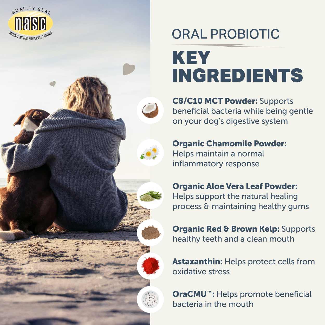 【美國 Four Leaf Rover】Oral Probiotics 口腔益生菌粉 81g｜改善口臭・護理牙齦・去除口腔有害菌・天然無添加