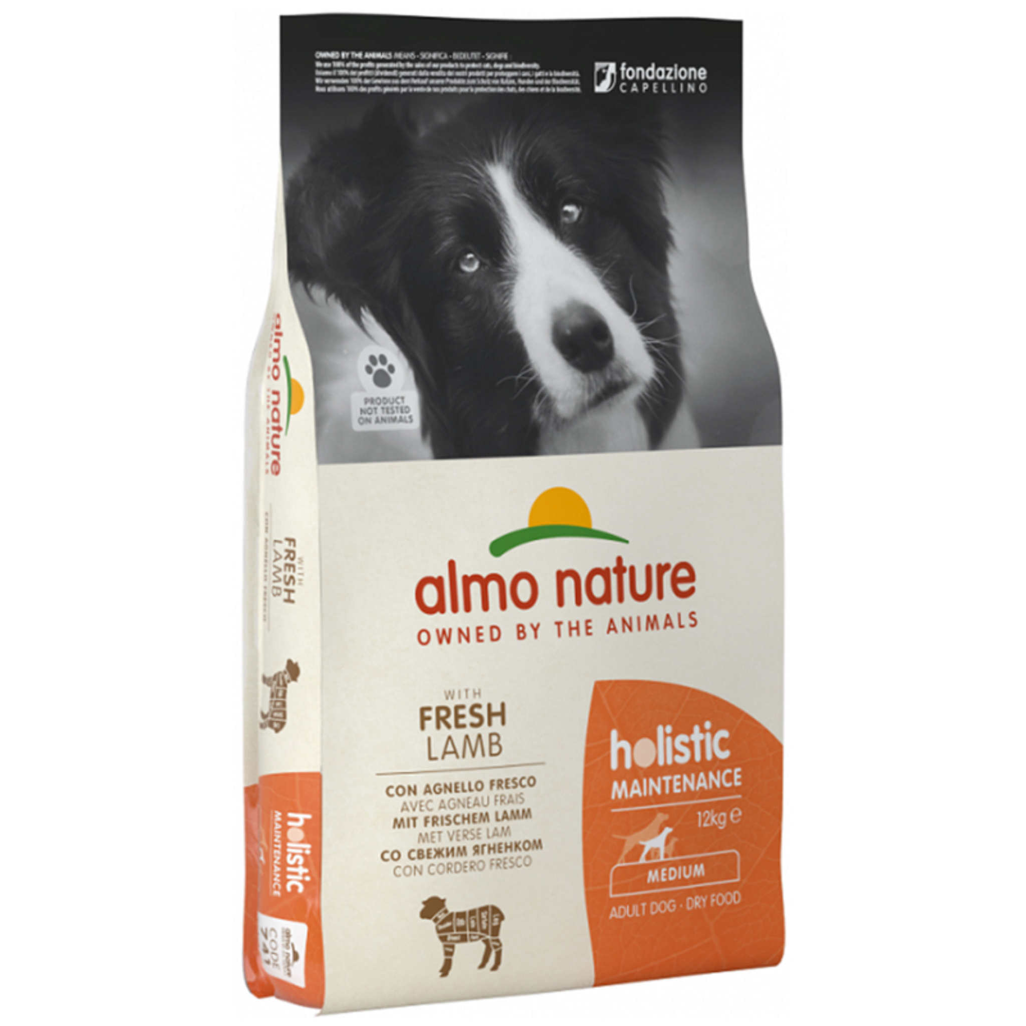 Almo Nature Holistic 中型犬 | 羊肉 狗乾糧 12Kg