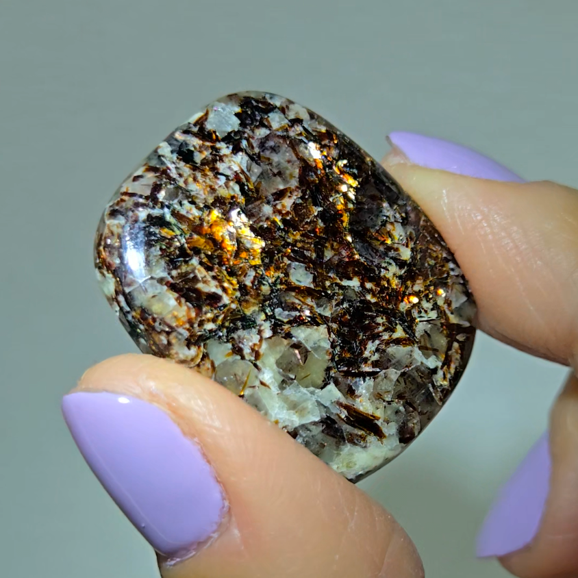 Astrophyllite cabochon with golden-bronze metallic inclusions - AST20