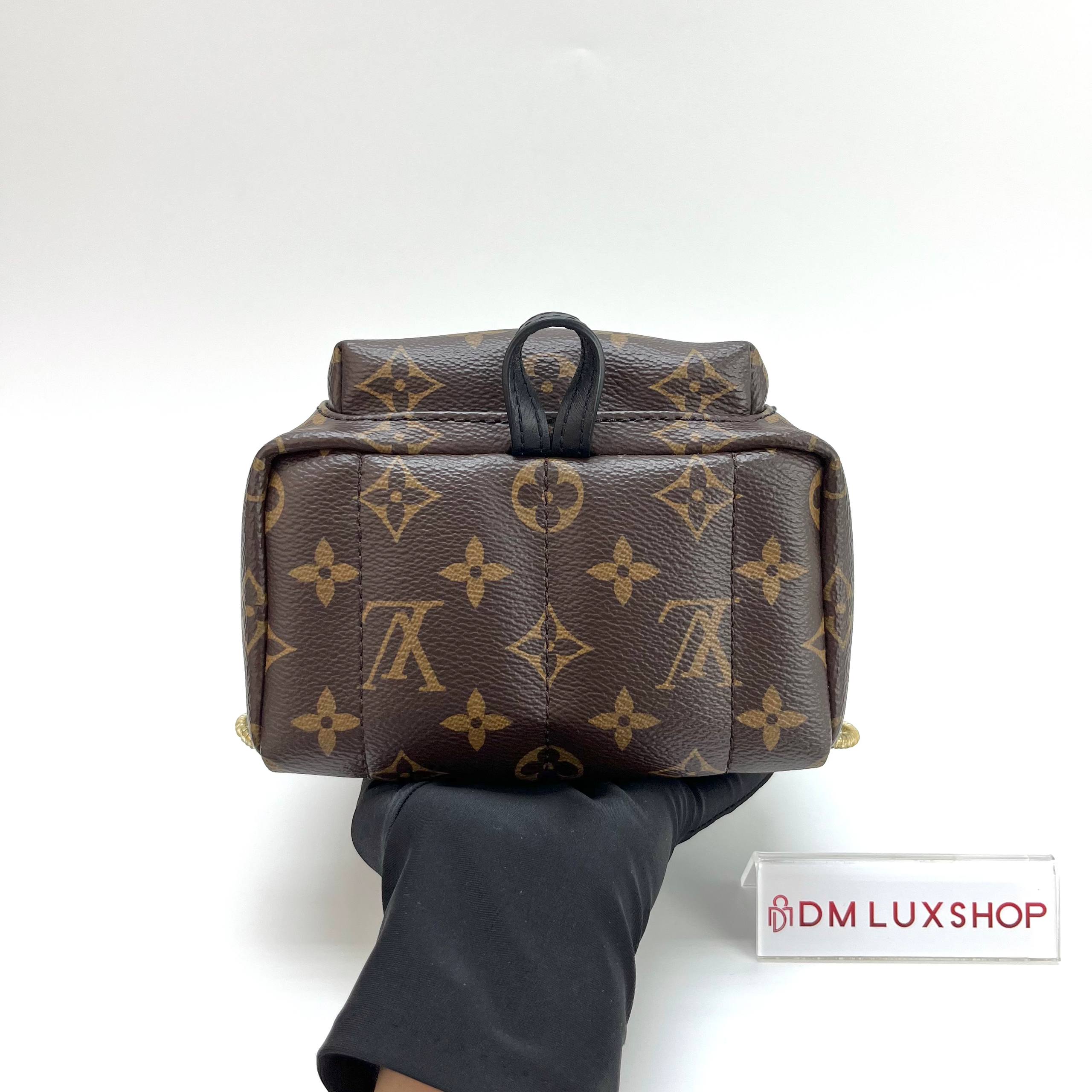 LV Monogram Palm Springs Mini GHW