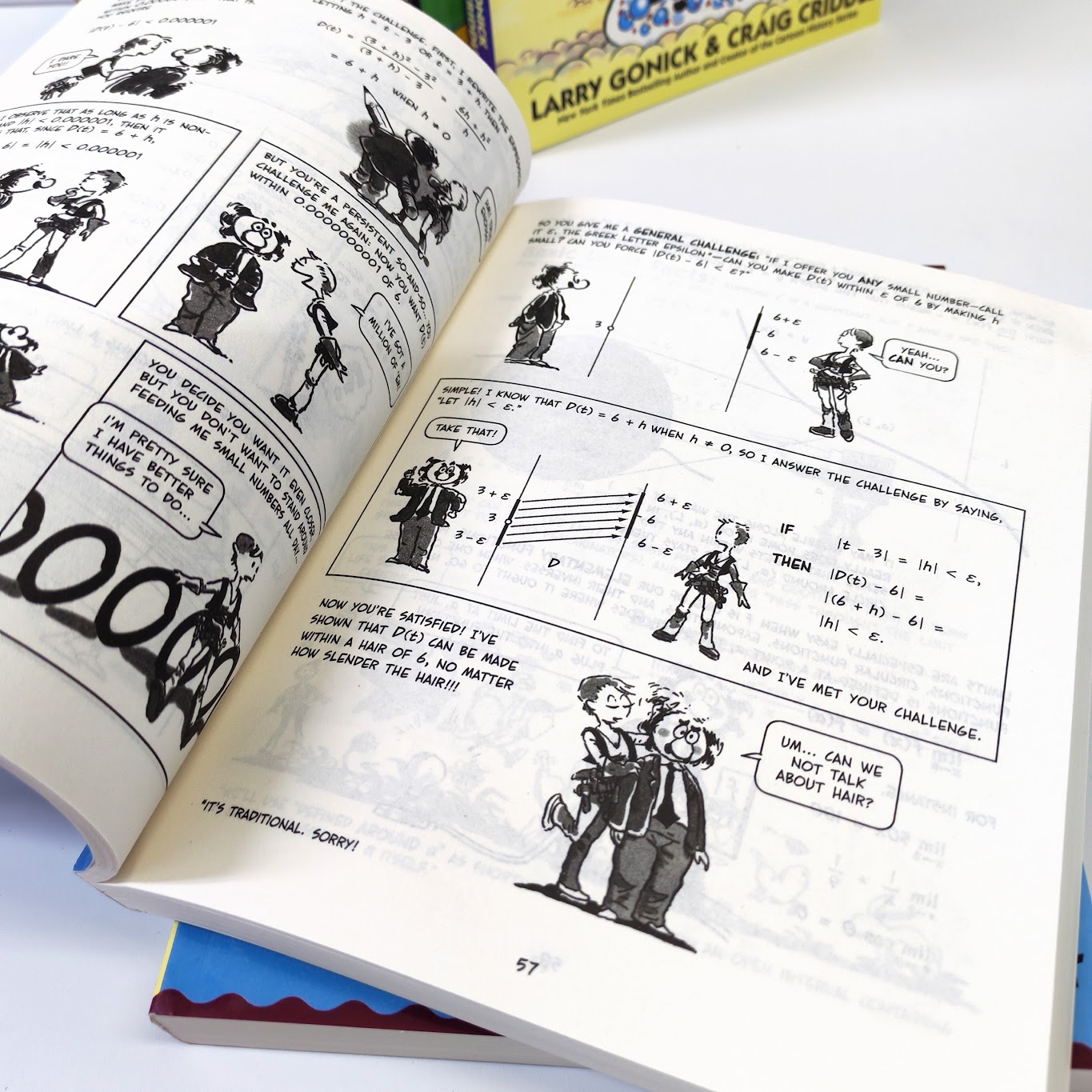 The Cartoon Guide Series 9 books   | Paperback | 爆笑科學漫畫系列 |英文原版英語科普讀物9冊  | B136  