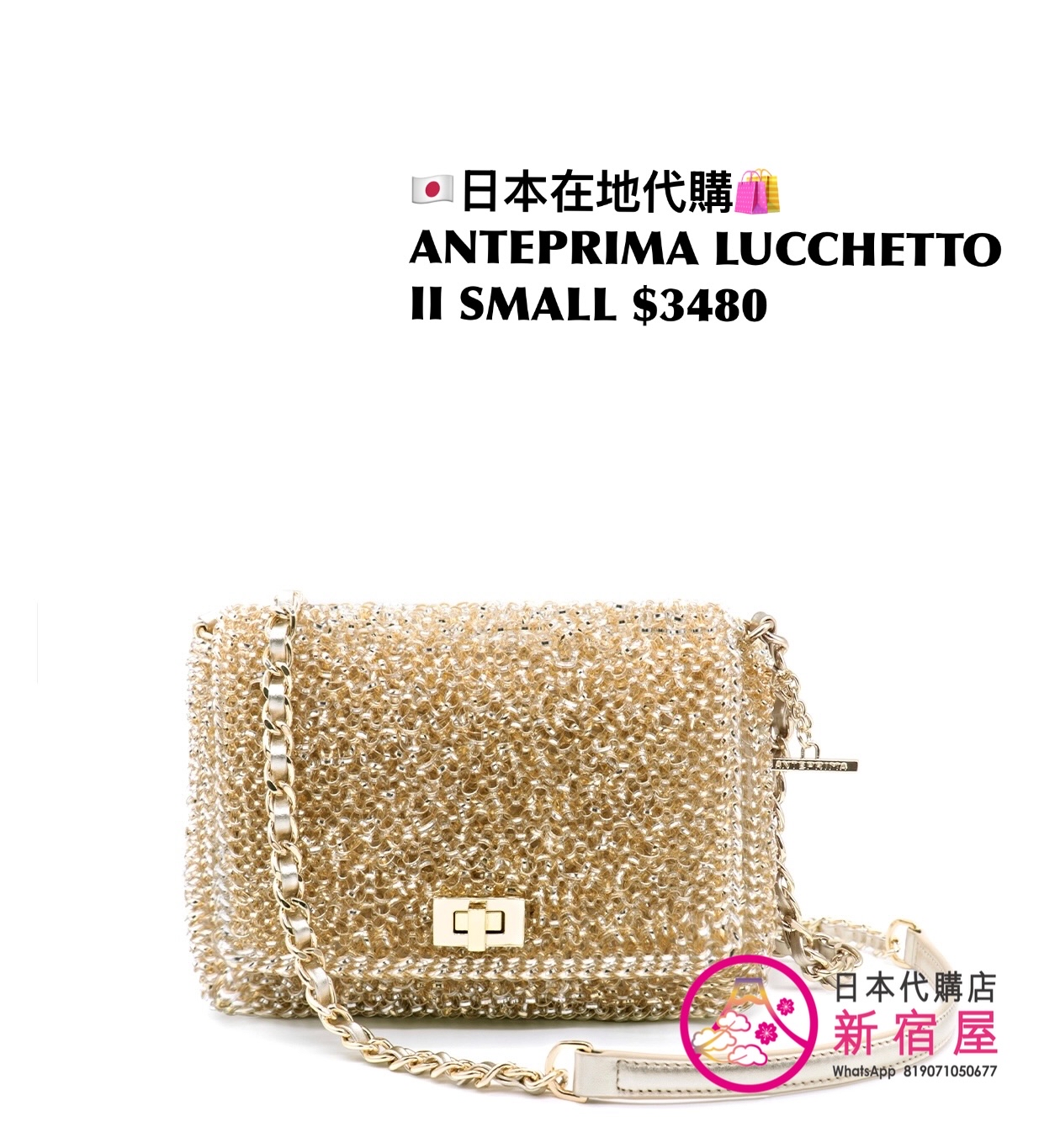 ANTEPRIMA LUCCHETTO II SMALL