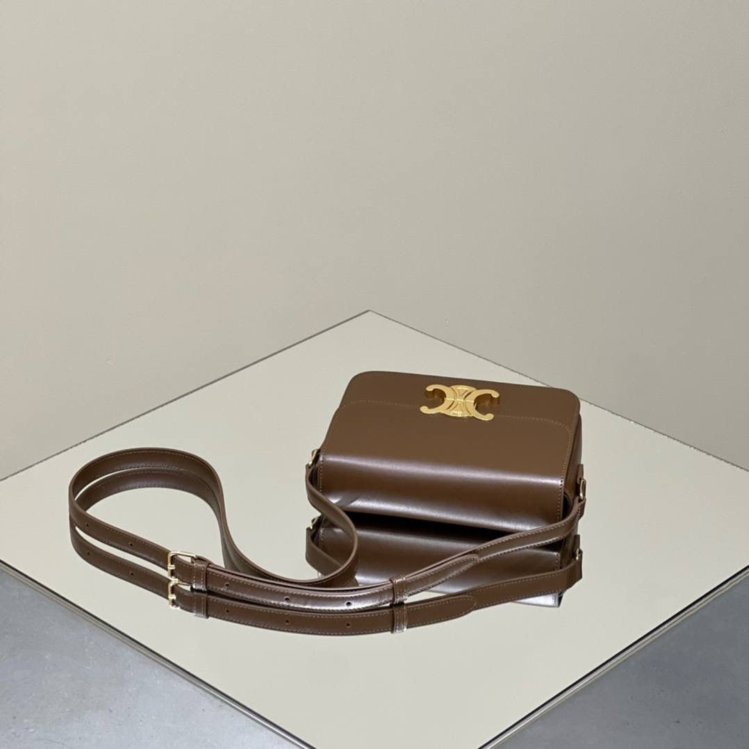 🔥大货实拍图 𝗖𝗘𝗟𝗜𝗡𝗘 ♥ 𝗧𝗘𝗘𝗡 𝗧𝗥𝗜𝗢𝗠𝗣𝗛𝗘 型号：188423 中号尺寸：22.5*16*7cm 小号尺寸：18.5*14*6cm