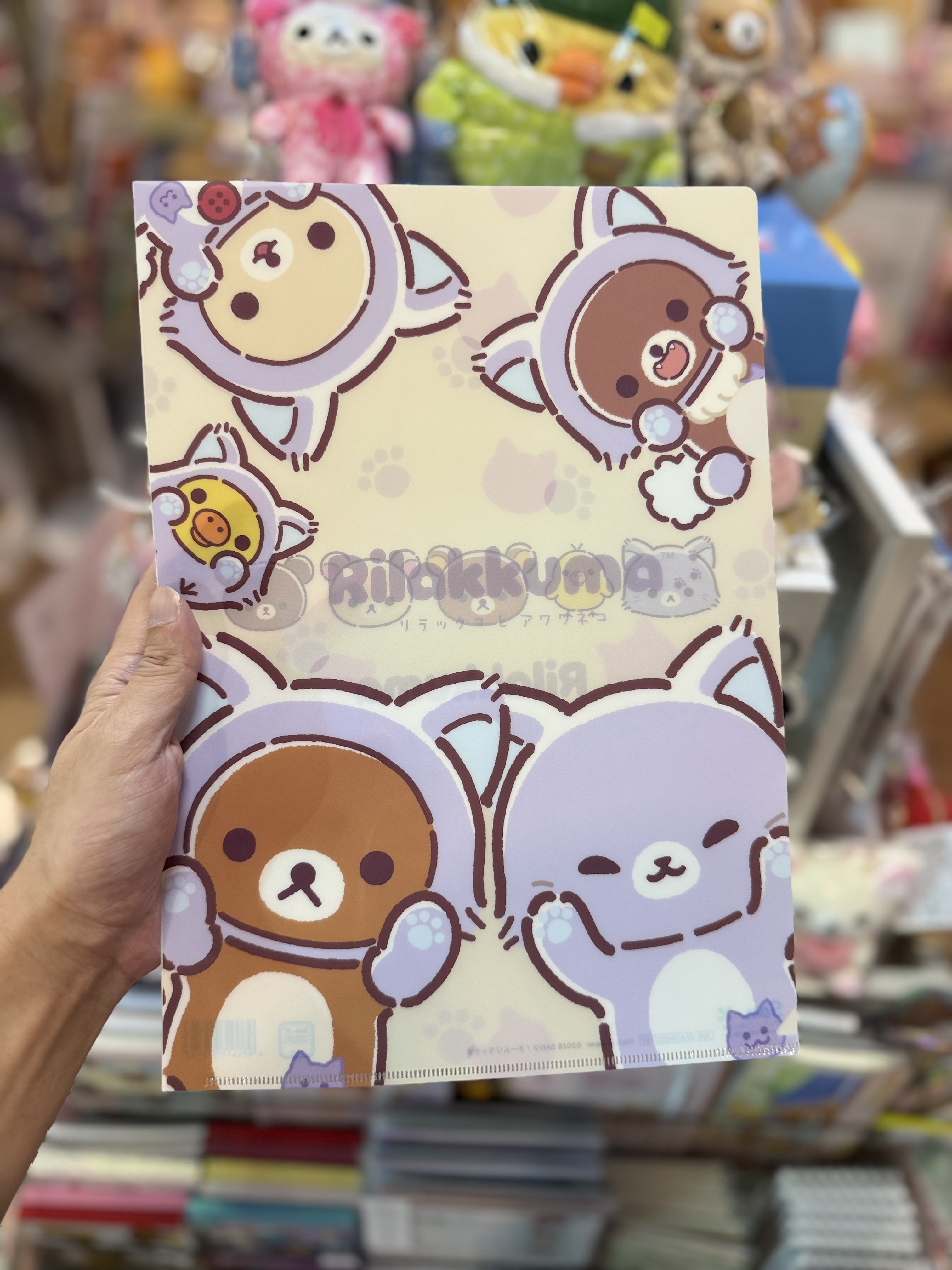 《現貨》全新Rilakkuma瓦瓦貓系列A4 file