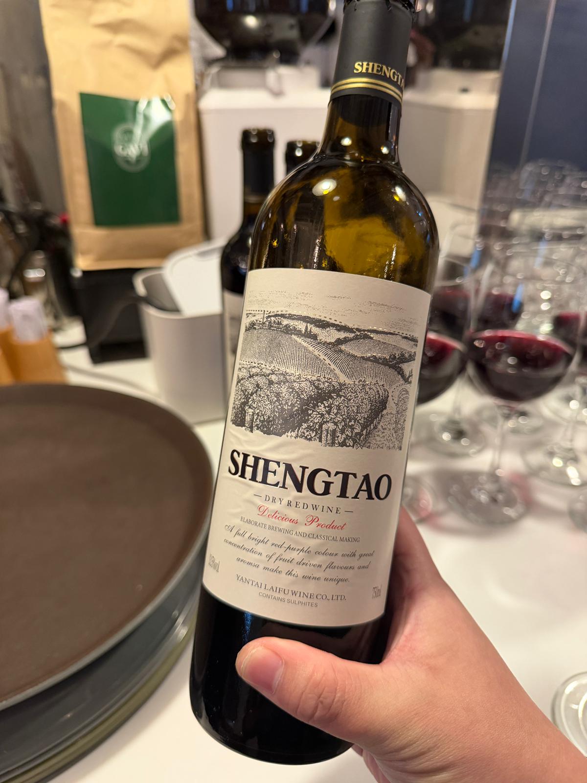 一箱$450/6支CHILE 智利聖陶漿果紅酒