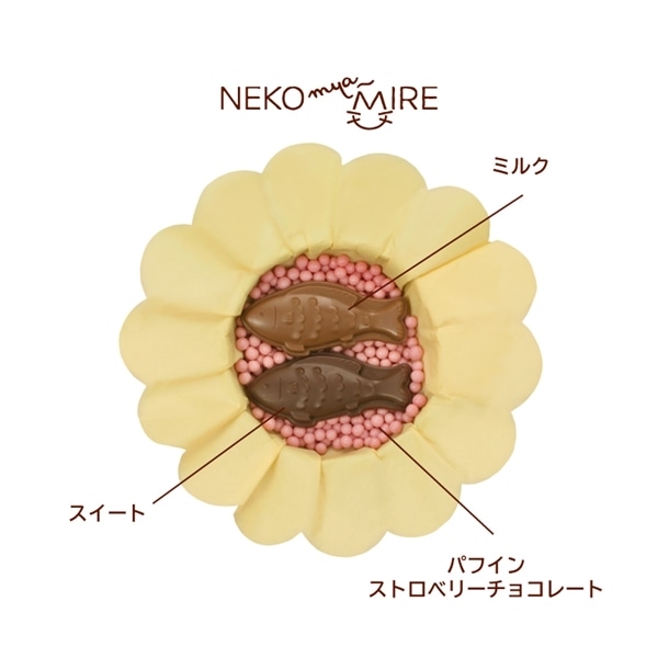 日本 Mary’s NEKO 貓貓朱古力禮盒 貓貓罐頭30g+24g(2個)入