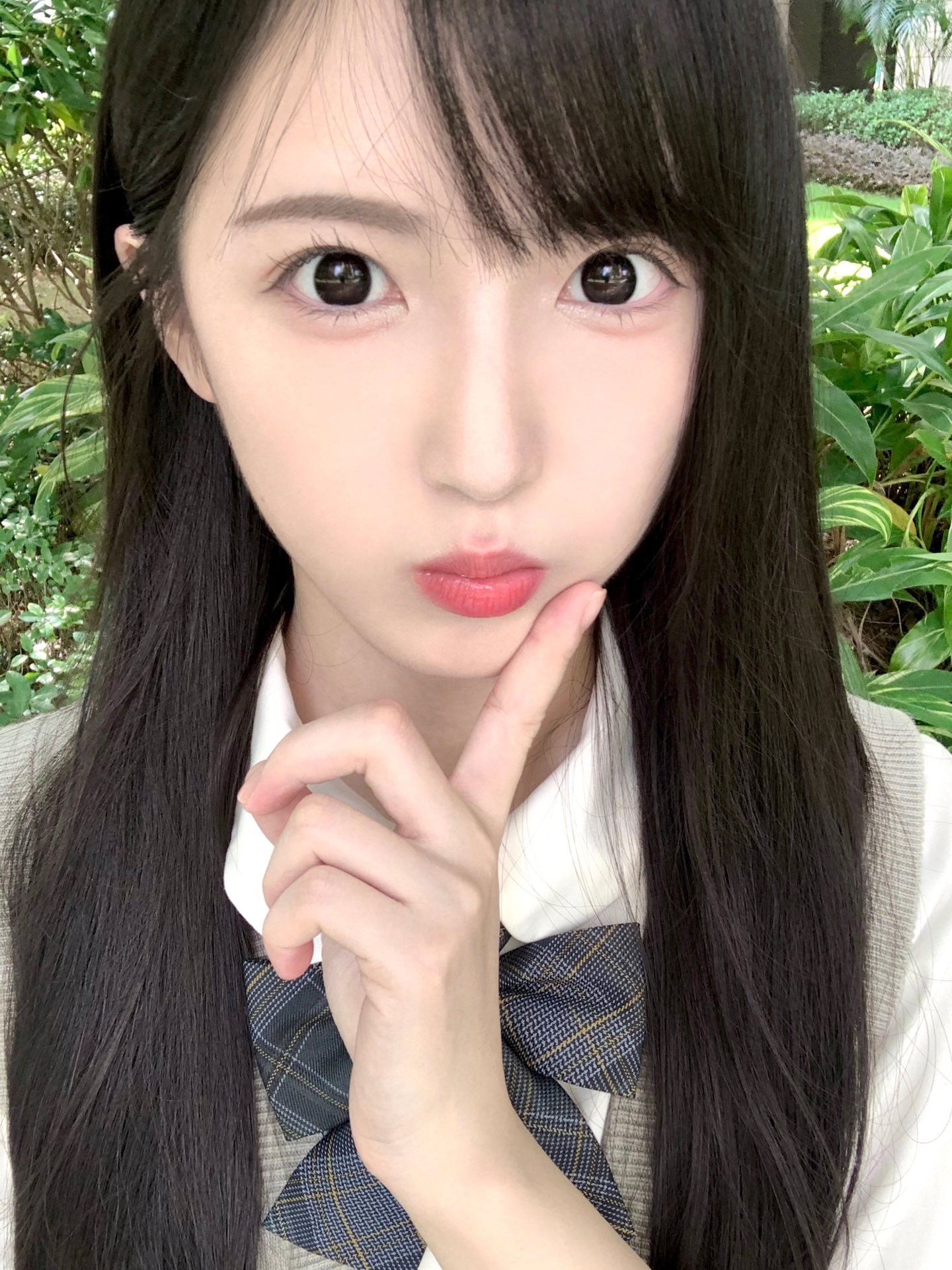 Doragina 日拋 幼稚鬼/茶包仔