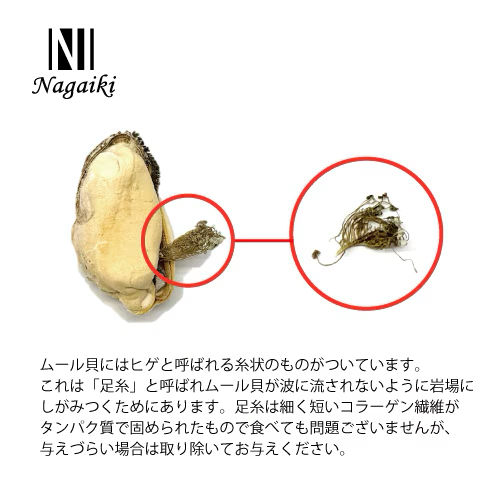 *Nagaiki🇯🇵O.C.Farm 凍乾貽貝 | 13克 寵物健康零食 
