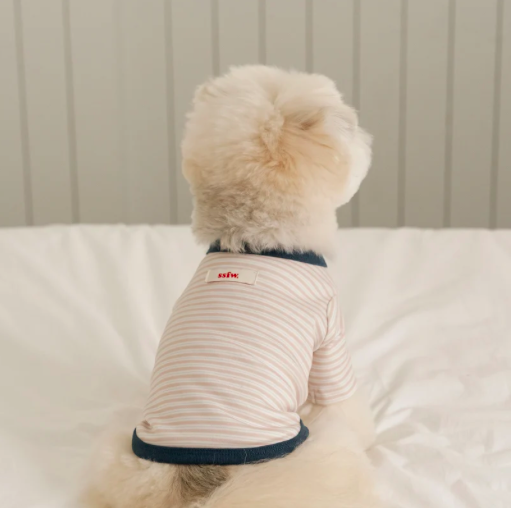 Bite Me🇰🇷SSFW Mellow Stripe T-Shirt 柔和條紋四季打底衫 (3色)