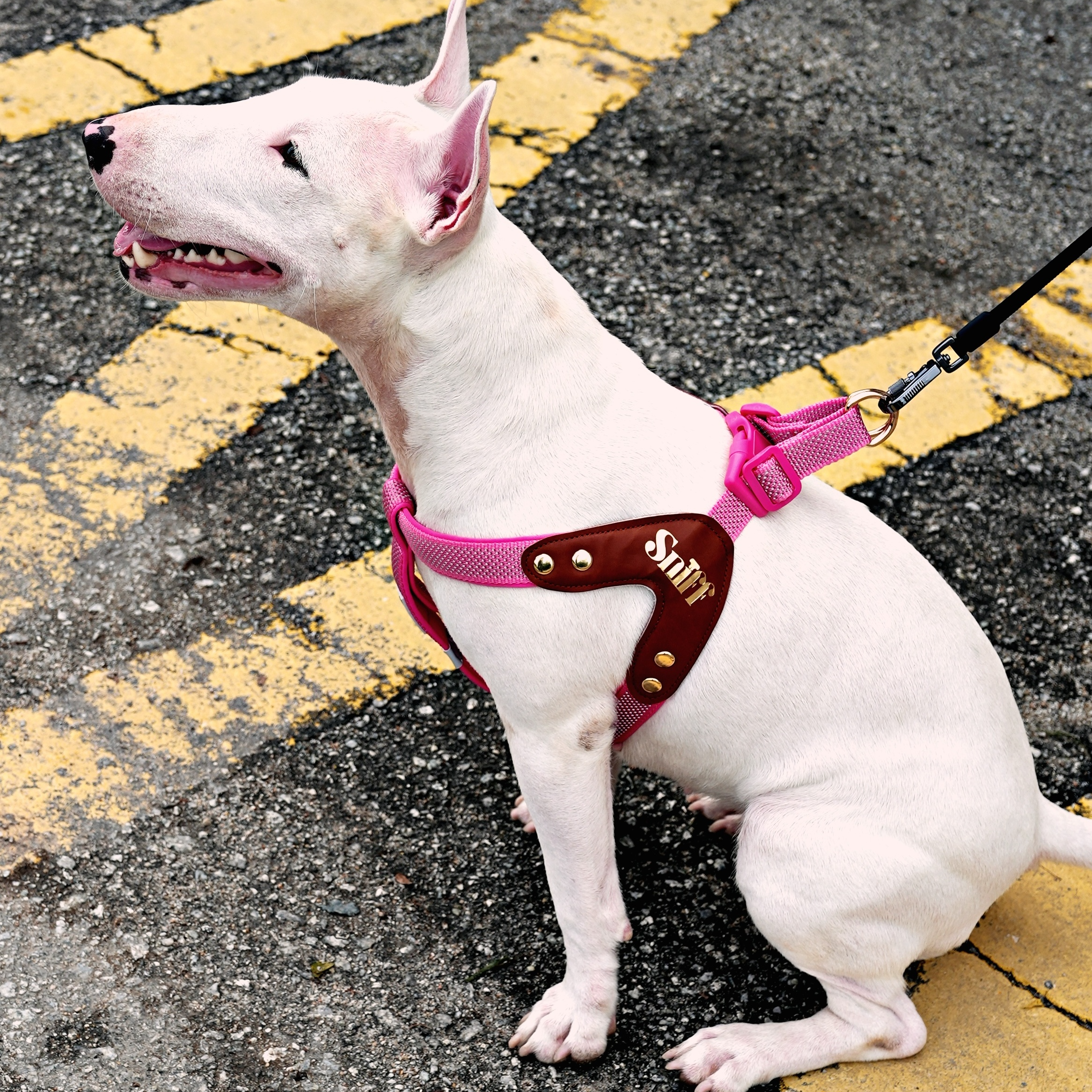 Step-In Harness - Baby’s Breathe - Rose Gleam