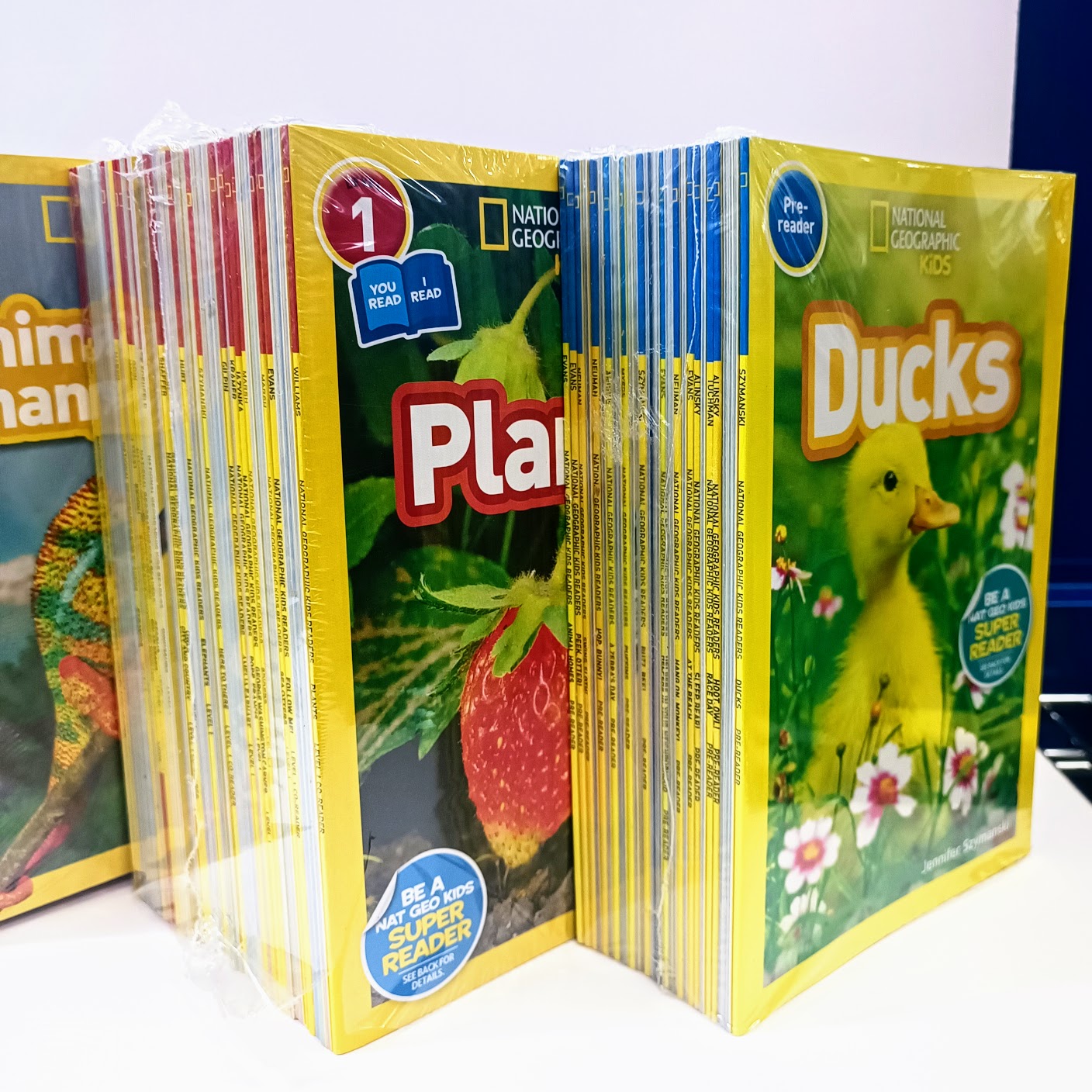  National Geographic Kids  155 books  | 新款分級閱讀Pre，L 1，L2，L3  | 國家地理全套155本  N16 