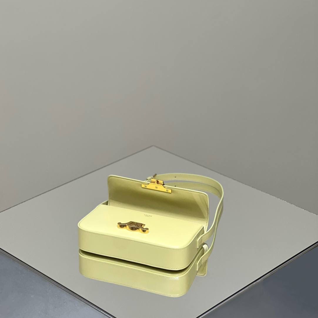 🔥大货实拍图 𝗖𝗘𝗟𝗜𝗡𝗘 ♥ 𝗧𝗥𝗜𝗢𝗠𝗣𝗛𝗘 𝗦𝗛𝗢𝗨𝗟𝗗𝗘𝗥 𝗕𝗔𝗚 型号：194143 尺寸：20*10*4cm