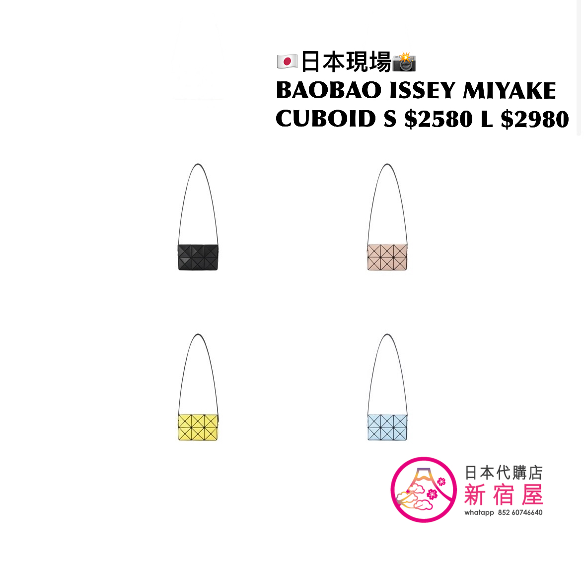 BAOBAO ISSEY MIYAKE CUBOID S/L