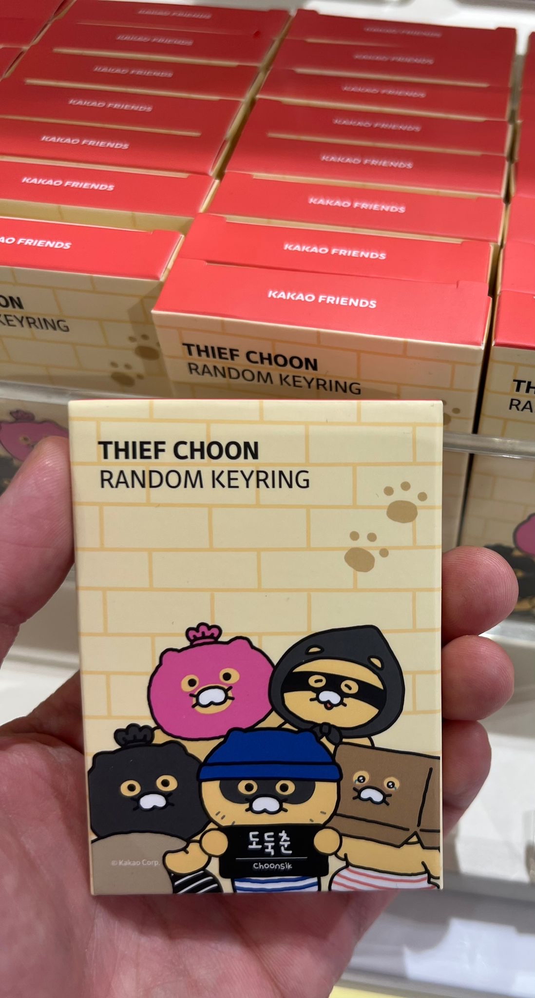 Kakao 春植海盜盲抽