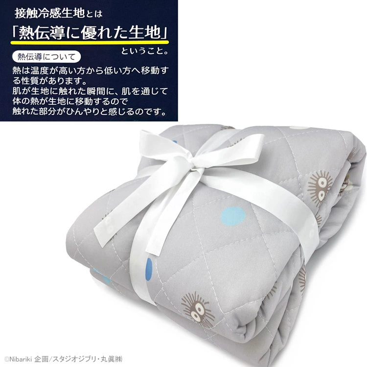 🆕【⭐訂購⭐】🌀 🇯🇵 日本直送 #龍貓 接觸涼感床墊［2款選］🌀 [ELED-0234][260625]