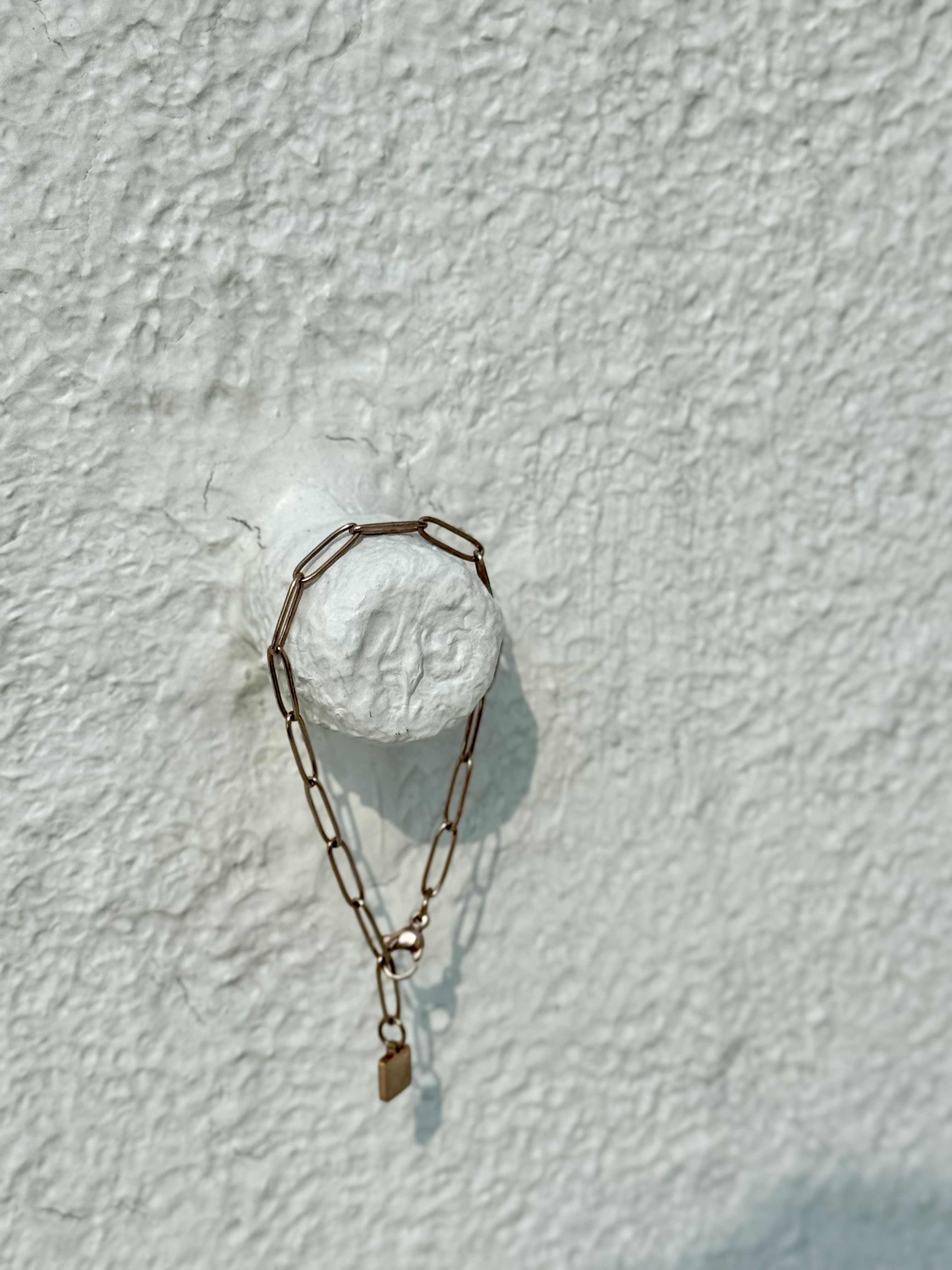 Rose chain stainless bracelet