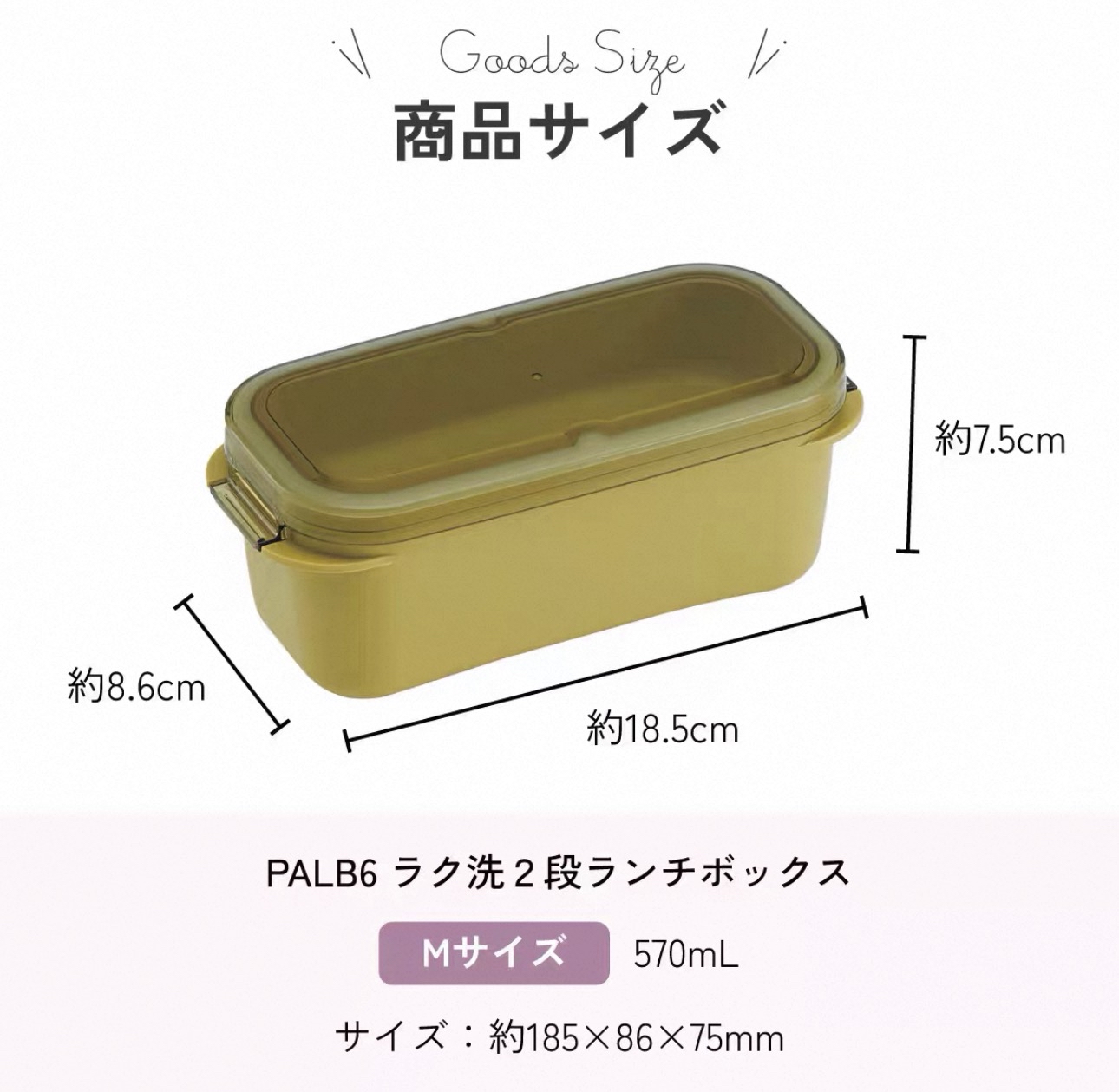 日本Skater 簡約雙層便當盒