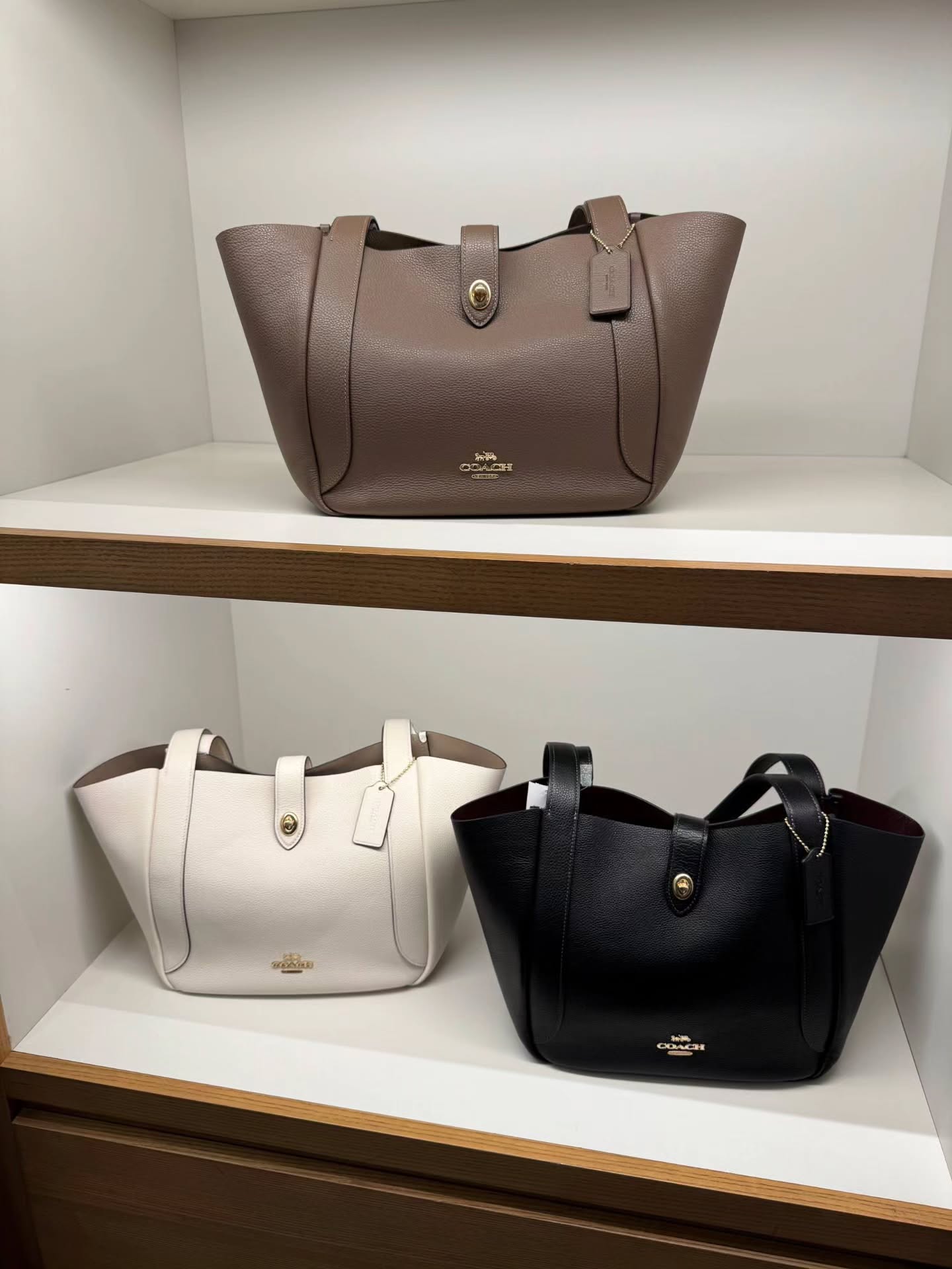 🇯🇵Coach Hadley 托特包