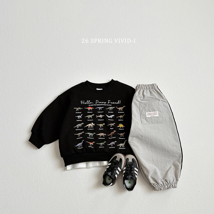 🇰🇷vivid_i pants