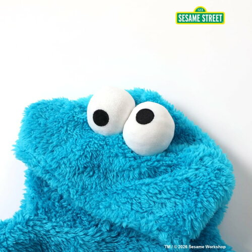 🆕【⭐訂購⭐】🇯🇵日本直送 🌀 #SesameStreet 可愛連帽造型 蓬鬆毛絨針織 連身衣 ［3款選］🌀[ELJA-0194][261121]