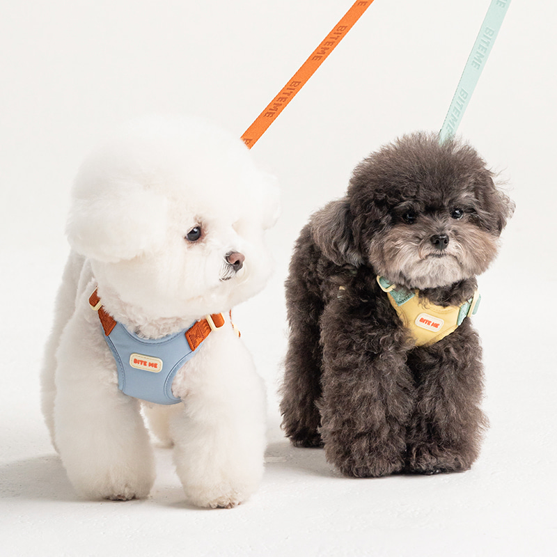 *預購 BiteMe🇰🇷 Comfort Leash v2 （ 3款 ）